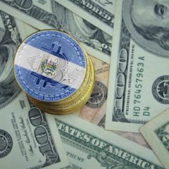 Camarasal Poll Shows Entrepreneurs Are Worried About Bitcoin Law in El Salvador