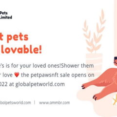 Global Pets World: An Experience for Pet Owners in the Real World and the Metaverse