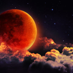 Luna Foundation Guard Discloses Usage of Bitcoin Reserves