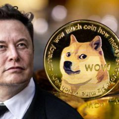 Tesla CEO Elon Musk Reaffirms Dogecoin ‘Has Potential as a Currency’ as Twitter Deal Is Put on Hold