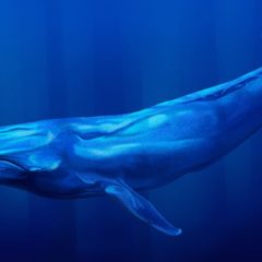 Spending $276M in Ether — Colossal Ethereum Whale That Participated in the Genesis ICO Transfers 145,000 ETH