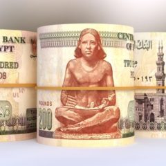 Report: Egyptian Pound Reaches New Low Against US Dollar Despite Flexible Exchange Rate Regime