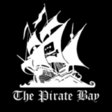 Pirate Bay Proxy Defeats Police’s GitHub Takedown with DMCA Counternotice