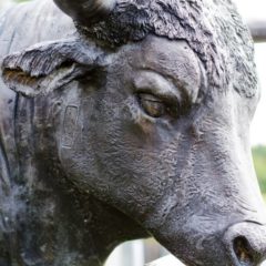 How Coinbase’s GDAX Intends to Evaluate Digital Assets for Exchange Listing