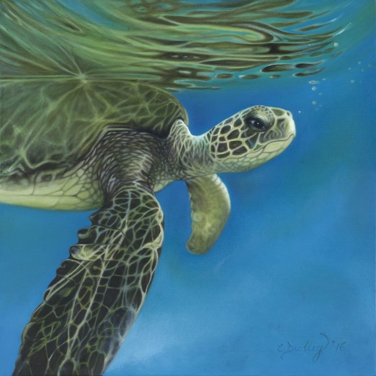 Bitcoin Futures&rsquo; Future: Slow, Measured, No Mom and Pop Investors