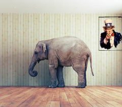 The Pirating Elephant in Uncle Sam’s Room