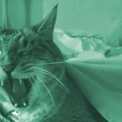 How to be the lazy sysadmin