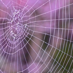 How to build a URL shortener with Apache