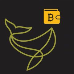 Storing a Lot of Bitcoins in One Wallet Is a Bad Idea