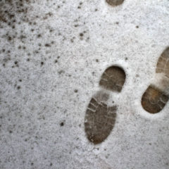 New modification of the old cold boot attack leaves most systems vulnerable