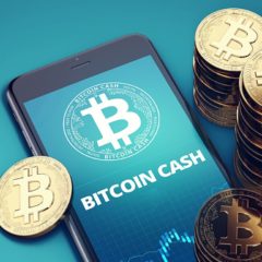 BCH Roundup: Rock Festivals, Long Form Blogging, and Prescription Drugs
