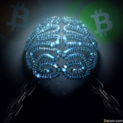 Crypto Schisms and Fork Psychology