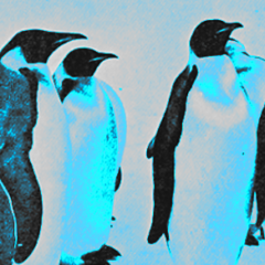 13 Linux must-reads in 2018