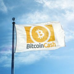 Over 900 Retailers Worldwide Now Accept Bitcoin Cash