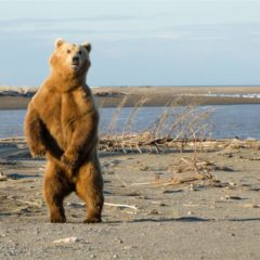 Current Crypto Bear Market Set to Become the Longest Ever