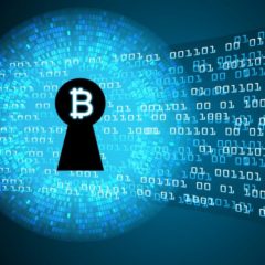 BCH Devs Lock in Code for the Chain’s Next Upgrade: Schnorr and Segwit Recovery