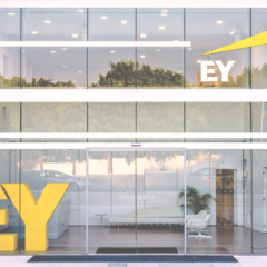 EY Executive Says Bitcoin Has No Practical Use in India