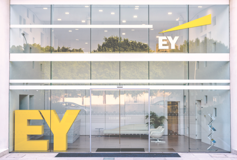 EY Executive Says Bitcoin Has No Practical Use in India