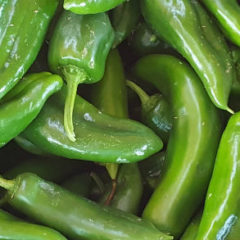 How spicy should a jalapeno be?