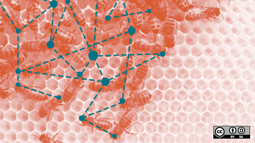 Bees on a hive, connected by dots