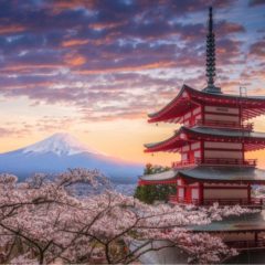 Asia’s Love Affair With Blockchain Is Blossoming