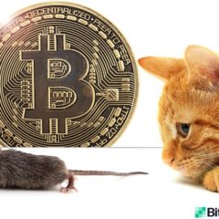 As FATF Regulations Galvanize, Crypto Mixing Applications Are Targeted