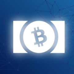 BCH Is An A-Class Crypto for Auditability