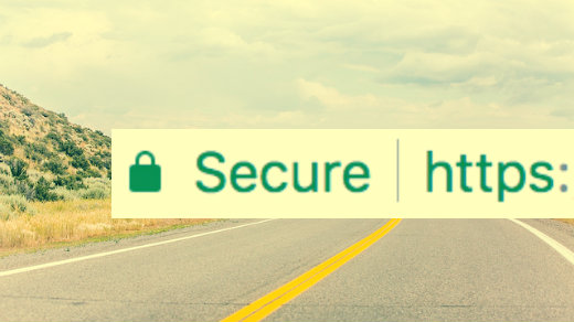 Secure https browser