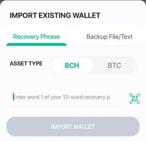 How to Recover Your Funds If You Lose Your Bitcoin Wallet