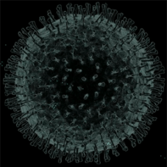 Unofficial Coronavirus Papers Archive Serves Up Half a Terabyte of Knowledge