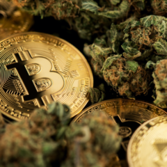 Relm Launches Insurance Coverage for Cryptocurrency and Cannabis Groups in Tough Regulatory Climate