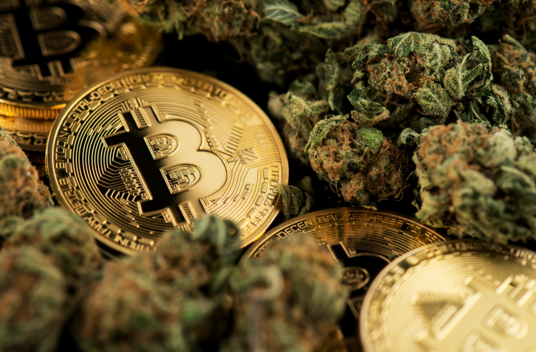 Relm Launches Insurance Coverage for Cryptocurrency and Cannabis Groups in Tough Regulatory Climate