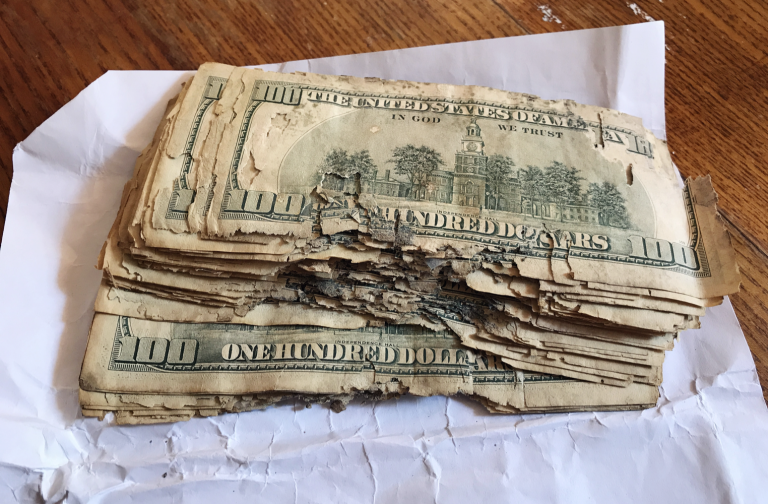 Cash Crisis: National Currencies Plunge up to 25% in the Wake of Coronavirus