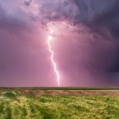 Bitpay Has ‘No Current Plans’ to Support Liquid or the Lightning Network