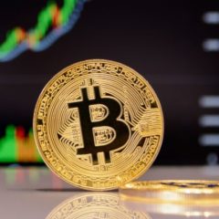 Average Price of Bitcoin More Than Quadrupled Between Reward Halvings