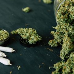 Lockdown Life & Darknets: BTC Still the DNM King, Cashaa’s Stolen Coins Sent to Hydra, Cannabis Sales Surge