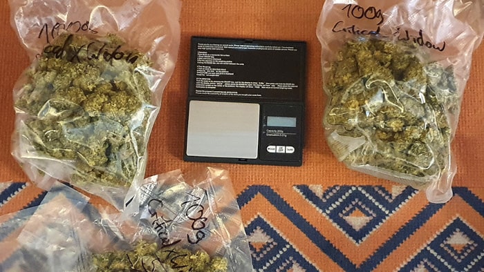 Televend’s Complex System of Telegram Drug Bots Swell as German Police Seize 9 Telegram Drug Channels Televend’s Complex System of Telegram Drug Bots Swell as German Police Seize 9 Telegram Drug Channels