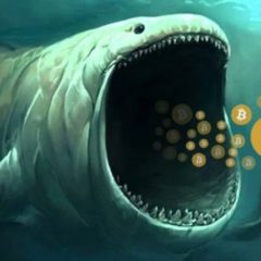 Paypal Bought 70% of All Newly Mined Bitcoin Last Month as Demand Rockets