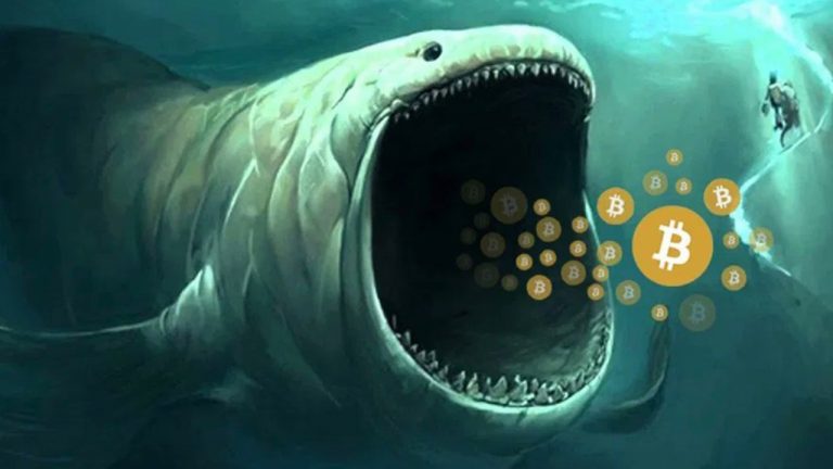 Paypal Bought 70% of All Newly Mined Bitcoin Last Month as Demand Rockets