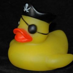 Popular Pirate Sites ‘Disappear’ From DuckDuckGo’s Top Search Results