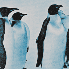 10 must-read Linux success stories from 2020