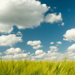 Set up a Linux cloud on bare metal