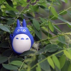 Company Demands $10K to Retract Facebook Copyright Claim on 20-sec Chinchilla Clip