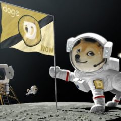 Dogecoin Price Skyrockets 325%, Crypto Fueled by Elon Tweets and Redditors