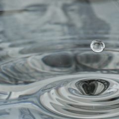 Premium on Grayscale’s GBTC Drops as Reports of New Trusts Emerge: Chinese Crypto Community Unhappy