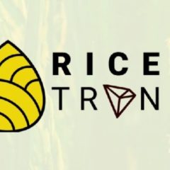 Rice-Based Stablecoin Is Being Launched in Indonesia