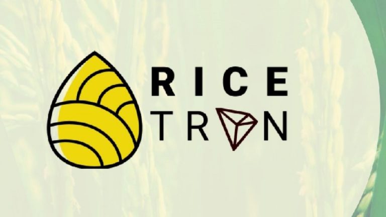 Rice-Based Stablecoin Is Being Launched in Indonesia