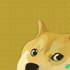 Elon Musk Shoots Down Crypto Wallet App Freewallet After It Tried to Ride His Dogecoin Fame