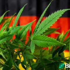 German Cannabis Firm Hedges Bitcoin to Protect from Massive Currency Devaluation