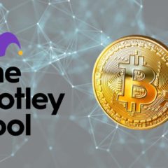 ‘More Valuable Than Gold’- The Motley Fool Announces $5 Million Investment Into Bitcoin